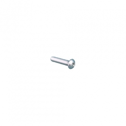 Mounting Screw